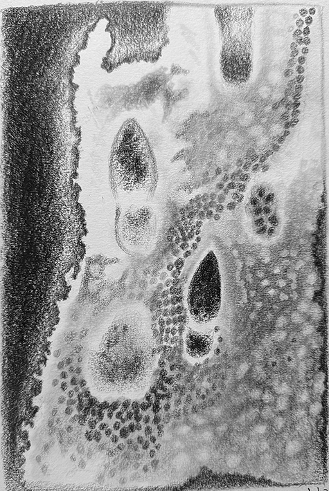 Sidewalk sketch 2, charcoal and graphite, 5 ½” x 8 ¼”