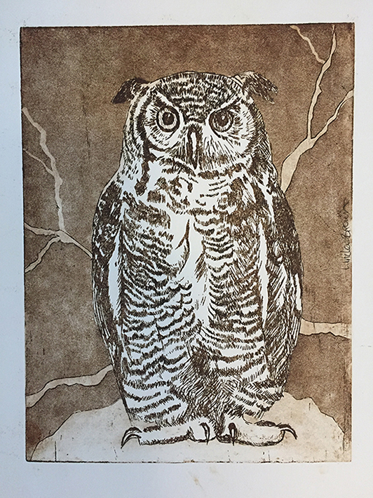 Owl, Etching
