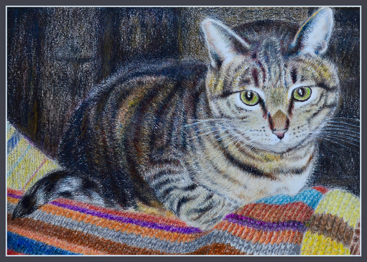 Sugar, Colored Pencil, 6” x 8”