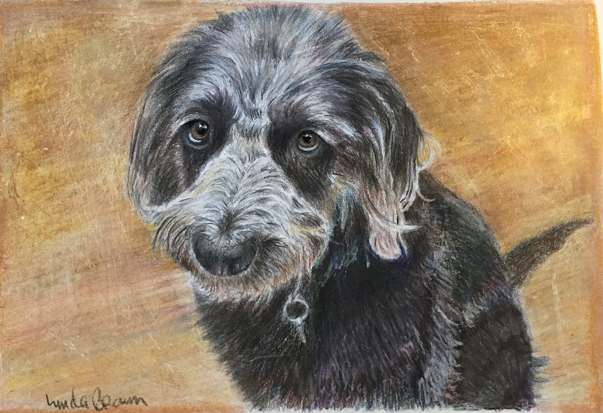 Bader, Colored Pencil, 7” x 9”