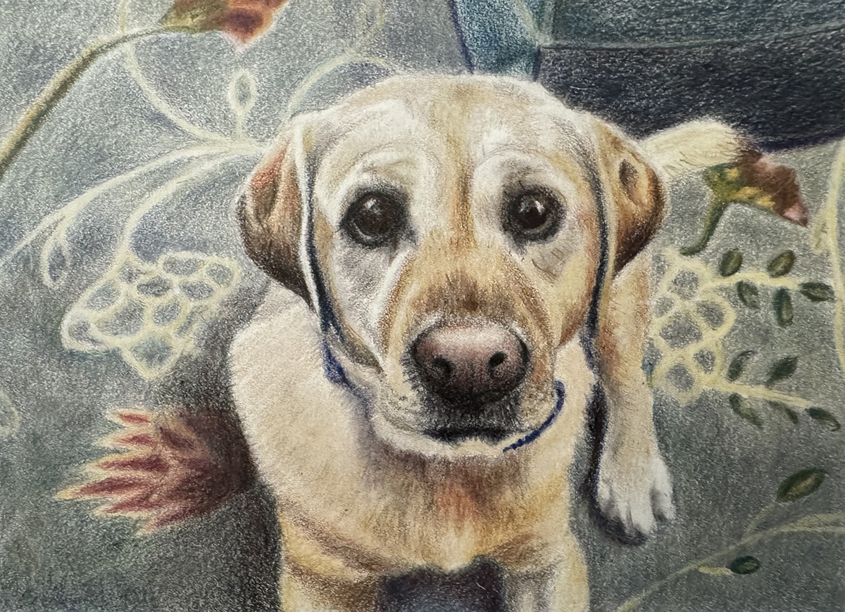 Lulu, Colored pencil, 6” x 8”