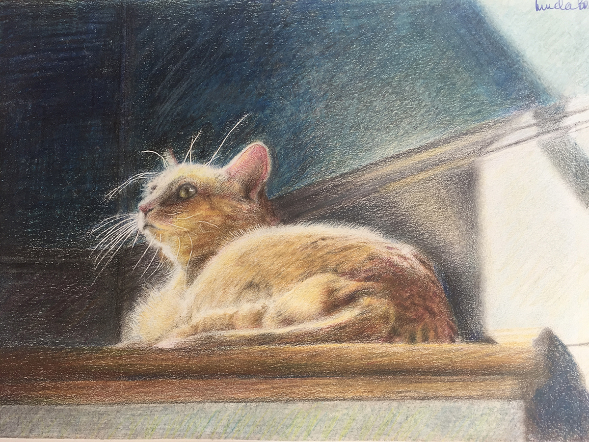 Patrick, colored Pencil 6” x 8”